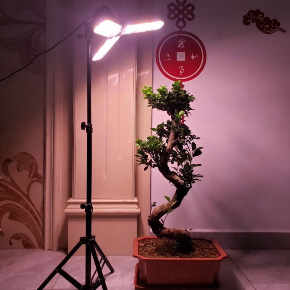 Light Bulb Stand 2M, E27 AC So - Photography Bulb recension och pris