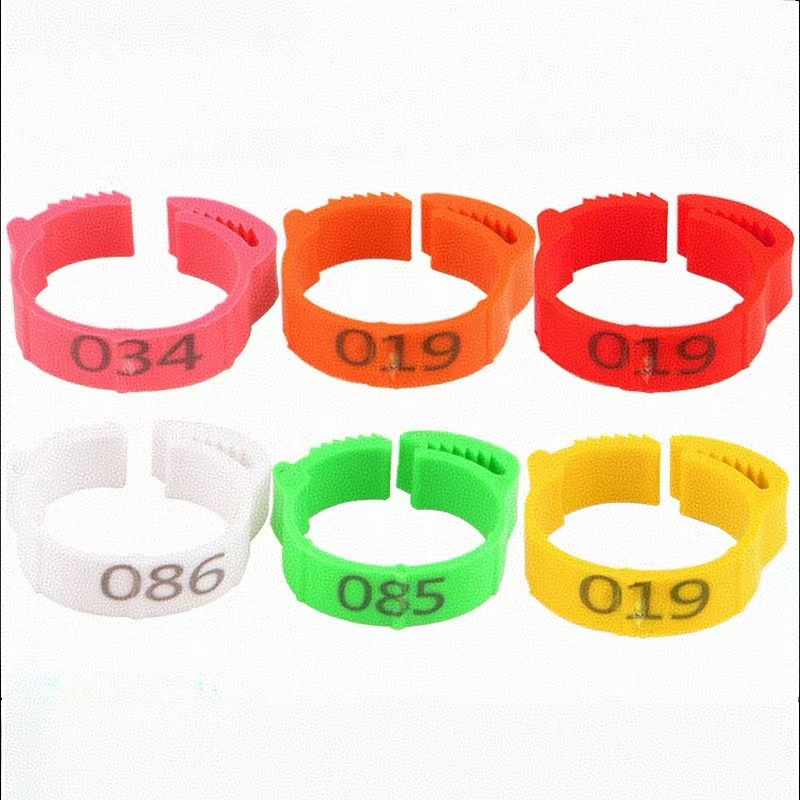100pcs Chicken Foot Ring Label - Photography Duck recension och pris