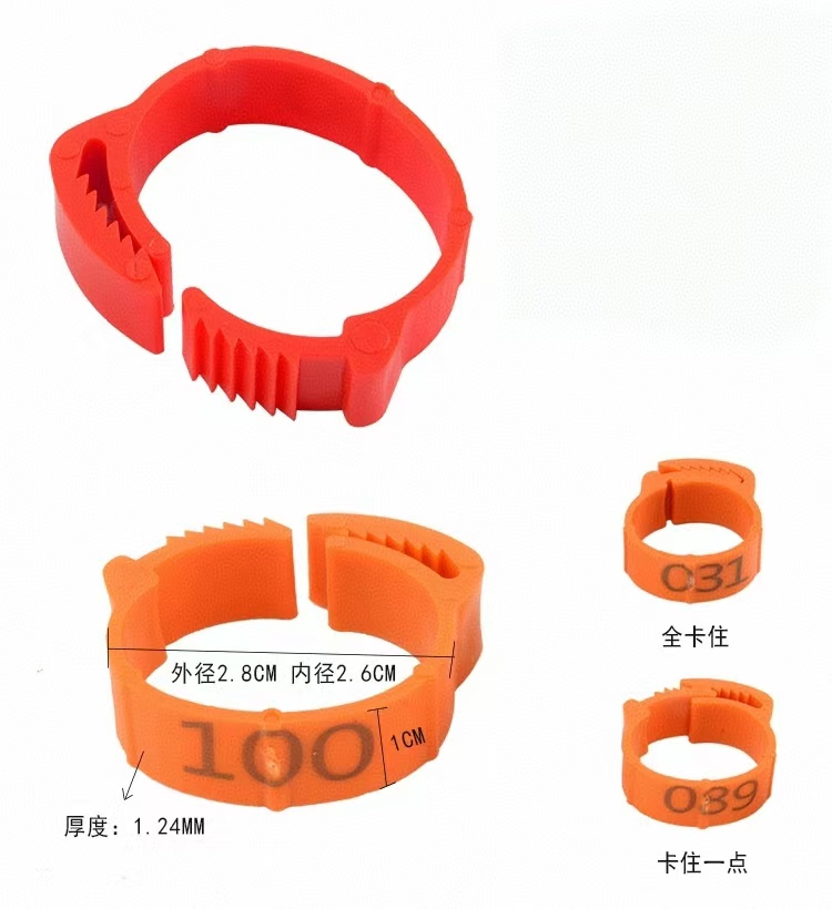 100pcs Chicken Foot Ring Label - Photography Duck recension och pris