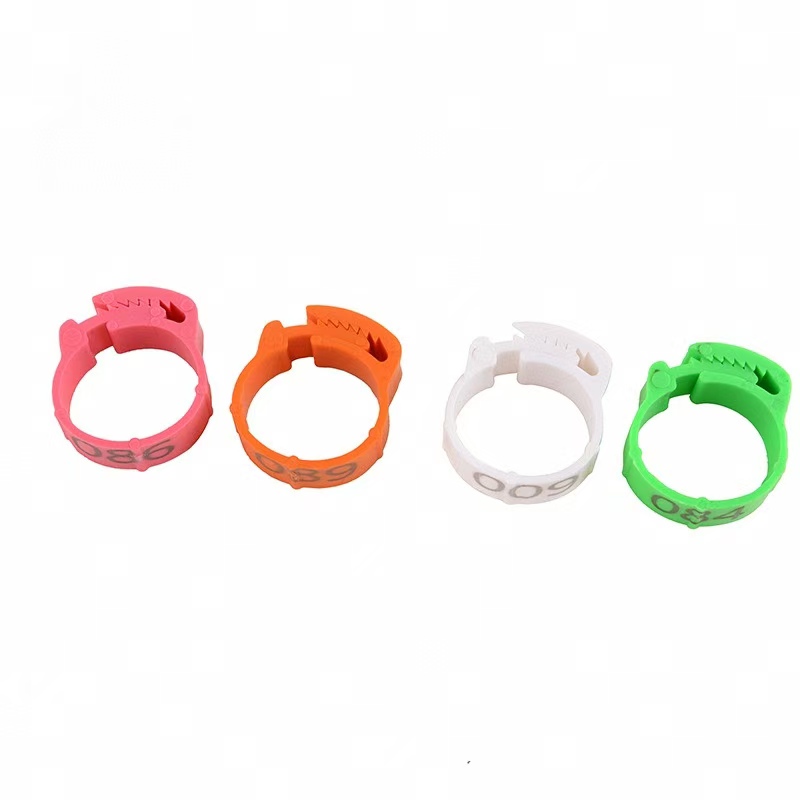 100pcs Chicken Foot Ring Label - Photography Duck recension och pris